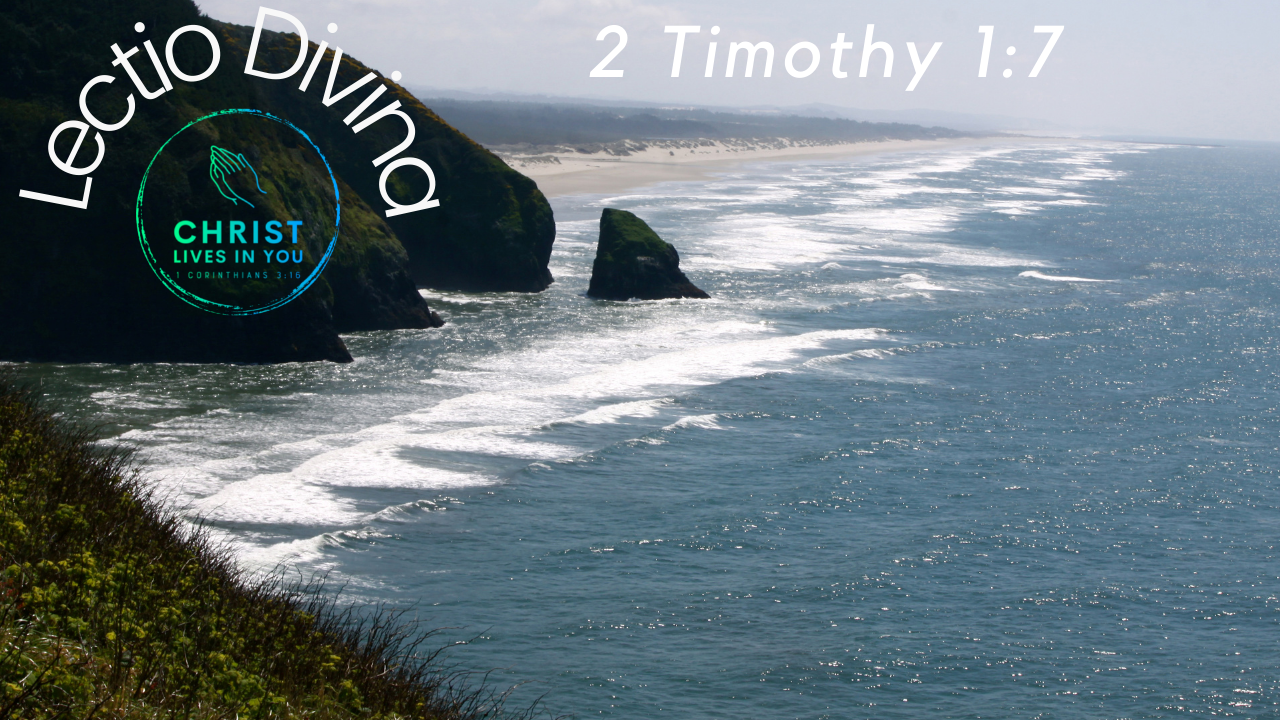 The ocean meets the shore