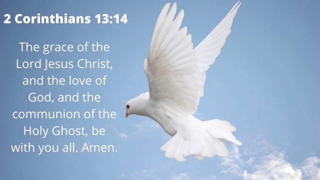 A dove flies in a blue sky