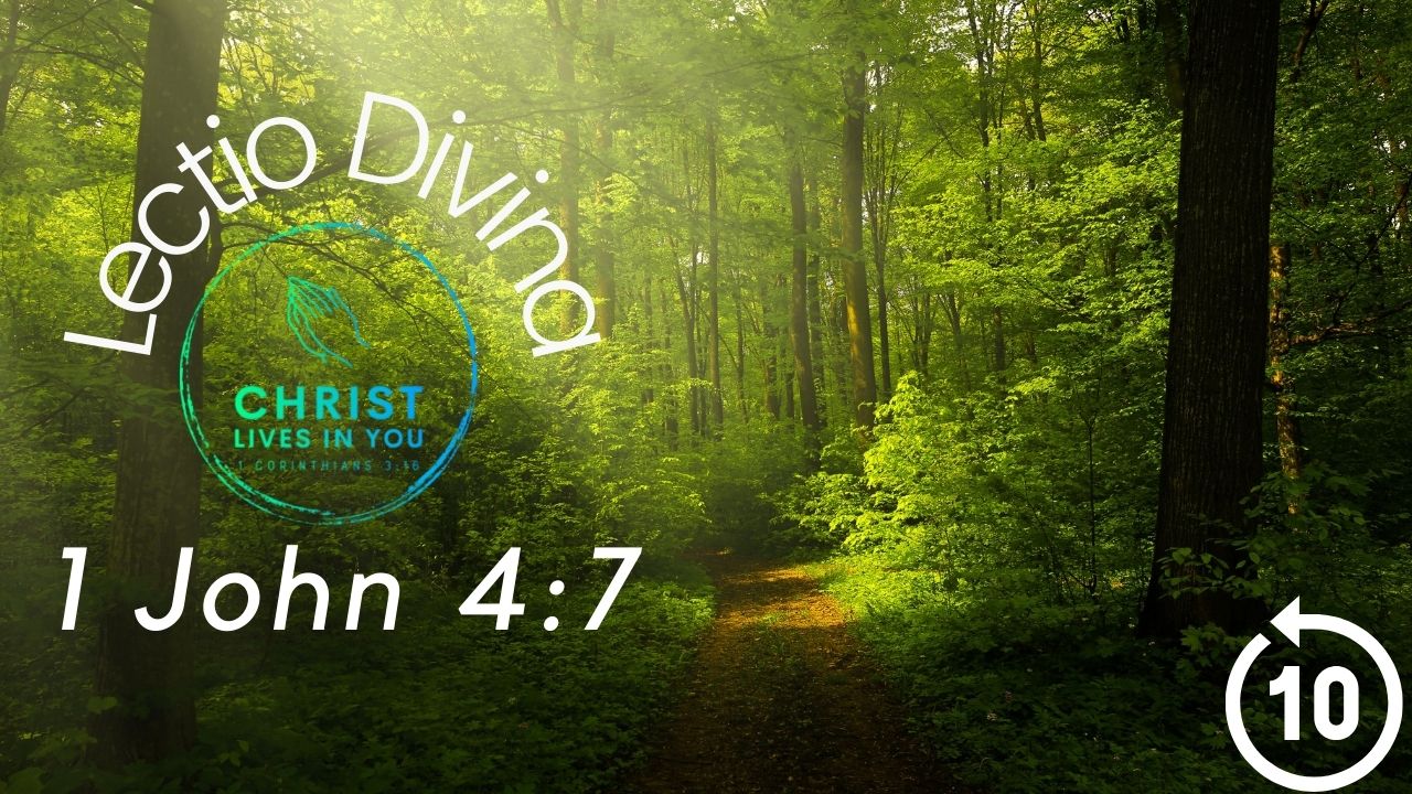 A beautiful green forest with a path running through the middle